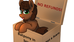 Size: 1920x1080 | Tagged: safe, artist:puginpocket, oc, oc only, oc:scarfy bat-heart, earth pony, pony, box, brown mane, delivery, earth pony oc, female, green eyes, looking at you, mare, open mouth, open smile, pony in a box, scam, simple background, smiling, smiling at you, solo, white background