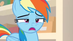 Size: 1920x1080 | Tagged: safe, screencap, rainbow dash, pegasus, pony, g4, season 8, the end in friend, open mouth