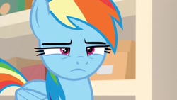 Size: 1920x1080 | Tagged: safe, screencap, rainbow dash, pegasus, pony, g4, season 8, the end in friend, female