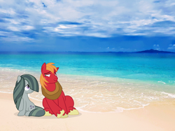 Size: 1600x1200 | Tagged: safe, artist:cirillaq, artist:mlplover94, big macintosh, marble pie, earth pony, pony, g4, beach, female, irl, male, mare, ocean, photo, ponies in real life, ship:marblemac, shipping, stallion, straight, water