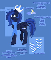 Size: 3275x3783 | Tagged: safe, artist:dreamy990, oc, oc:midnight cinnamon, pegasus, pony, clothes, crown, female, high res, jewelry, mare, reference sheet, regalia, scarf, solo