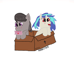 Size: 4291x3692 | Tagged: safe, artist:hunkster, dj pon-3, octavia melody, vinyl scratch, earth pony, pony, unicorn, blushing, box, duo, duo female, female, high res, horn, lesbian, mare, mouth hold, open mouth, open smile, pony in a box, purple eyes, red eyes, scratchtavia, shipping, simple background, smiling, white background