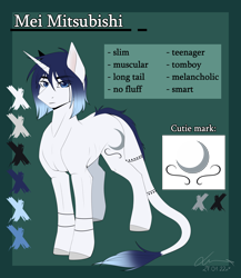 Size: 2940x3390 | Tagged: safe, artist:lunciakkk, oc, oc only, oc:mei mitsubishi, high res, reference sheet, solo