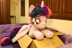 Size: 2425x1617 | Tagged: safe, artist:ponimalion, twilight sparkle, alicorn, pony, unicorn, g4, :p, bedroom eyes, behaving like a cat, box, cute, female, fluffy mane, fluffy tail, irl, mare, photo, plushie, pony in a box, solo, spread wings, tail, thinking, tongue out, twilight sparkle (alicorn), wings