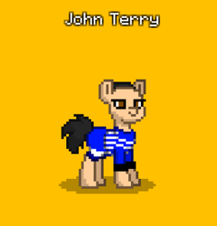 Size: 419x436 | Tagged: safe, earth pony, pony, pony town, brown eyes, chelsea london, fooballer, football, full body, hooves, john terry, ponified, shadow, simple background, solo, sports, standing, yellow background