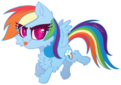 Size: 1024x720 | Tagged: safe, artist:spectrasus, rainbow dash, pegasus, pony, :p, backwards cutie mark, chest fluff, chibi, cute, dashabetes, ear fluff, eye clipping through hair, female, fluffy, flying, hoof fluff, looking at you, simple background, solo, tongue out, transparent background