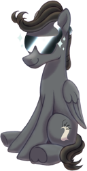 Size: 770x1500 | Tagged: safe, artist:crystalightx, oc, oc:greywind, pegasus, pony, 2022 community collab, derpibooru community collaboration, male, pegasus oc, simple background, smiling, solo, stallion, sunglasses, transparent background