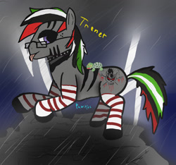 Size: 1600x1500 | Tagged: safe, artist:pawker, oc, oc only, oc:trener, earth pony, pony, clothes, commission, glasses, male, socks, solo, swamp cinema, thunder