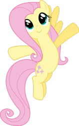 Size: 1950x3076 | Tagged: safe, artist:zziccardi, fluttershy, pegasus, pony, g4, may the best pet win, season 2, .svg available, belly, female, simple background, solo, transparent background, vector