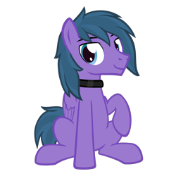Size: 1500x1500 | Tagged: safe, artist:the smiling pony, oc, oc only, oc:feather freight, pegasus, pony, 2022 community collab, derpibooru community collaboration, .svg available, folded wings, front view, full body, lidded eyes, looking at you, male, pegasus oc, raised hoof, show accurate, simple background, sitting, smiling, smiling at you, solo, stallion, svg, tail, transparent background, two toned mane, two toned tail, vector, wings