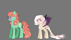 Size: 1650x922 | Tagged: safe, artist:merdiia, oc, oc only, earth pony, hybrid, pegasus, pony, bio in description, duo, earth pony oc, female, gray background, interspecies offspring, male, mare, offspring, parent:discord, parent:fluttershy, parent:tree hugger, parent:zephyr breeze, parents:discoshy, parents:zephyrhugger, pegasus oc, simple background, stallion, sunglasses, wings