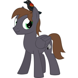 Size: 1500x1500 | Tagged: safe, artist:the smiling pony, oc, oc only, oc:wingbeat, bird, pegasus, pony, 2022 community collab, derpibooru community collaboration, g4, .svg available, blackbird, brown mane, brown tail, folded wings, full body, green eyes, looking at you, male, pegasus oc, show accurate, simple background, smiling, smiling at you, solo, stallion, standing, svg, tail, three quarter view, transparent background, vector, wings