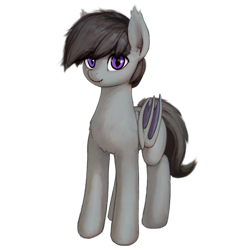 Size: 1758x1758 | Tagged: source needed, safe, artist:quvr, oc, oc only, bat pony, pony, 2022 community collab, derpibooru community collaboration, bat ears, bat pony oc, bat wings, ear fluff, ear tufts, fangs, folded wings, full body, male, not octavia, purple eyes, simple background, smiling, solo, standing, three quarter view, transparent background, wings