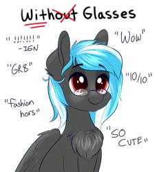 Size: 793x846 | Tagged: safe, alternate version, artist:confetticakez, oc, oc only, pegasus, pony, chest fluff, glasses, smiling, solo