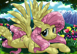 Size: 1024x724 | Tagged: safe, artist:neoshrek, fluttershy, pegasus, pony, g4, anatomically incorrect, flower, incorrect leg anatomy, lying down, prone, smiling, solo, tree