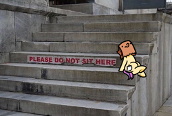 Size: 1080x729 | Tagged: safe, artist:paperbagpony, oc, oc:paper bag, earth pony, pony, crime, criminal, earth pony oc, fuck the police, irl, photo, ponified animal photo, solo, stairs, too dumb to live