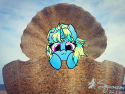 Size: 3648x2736 | Tagged: safe, artist:square#01, oc, pony, unicorn, high res, looking at you, photo, sky, smiling, solo