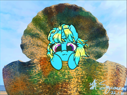 Size: 3648x2736 | Tagged: safe, artist:square#01, oc, pony, unicorn, filter, high res, looking at you, photo, sky, solo