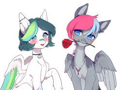 Size: 2634x1944 | Tagged: safe, artist:miioko, oc, oc only, pegasus, pony, colored wings, duo, ear piercing, flower, flower in mouth, jewelry, mouth hold, necklace, oc x oc, open mouth, pegasus oc, piercing, raised hoof, rose, shipping, simple background, transparent background, two toned wings, wings