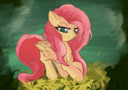 Size: 2388x1668 | Tagged: safe, artist:solid shrimp, fluttershy, pegasus, pony, g4, female, folded wings, grass, grass field, mare, smiling, solo, three quarter view, wings