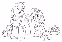 Size: 3537x2441 | Tagged: safe, artist:lummh, big macintosh, sugar belle, earth pony, pony, unicorn, g4, apple, basket, duo, food, grayscale, high res, looking at someone, looking at something, male, monochrome, pear, simple background, sketch, stallion, white background