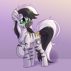 Size: 4000x4000 | Tagged: oc name needed, safe, artist:witchtaunter, oc, oc only, zebra, big tail, chest fluff, commission, ear fluff, female, gradient background, green eyes, long tail, looking back, mare, raised hoof, shoulder fluff, solo, tail, zebra oc