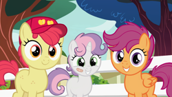 Size: 1280x720 | Tagged: safe, edit, edited screencap, editor:deserter, screencap, apple bloom, scootaloo, sweetie belle, earth pony, pegasus, pony, unicorn, g4, marks for effort, adorabloom, bandaid, baseball cap, blank flank, cap, cute, cutealoo, cutie mark crusaders, diasweetes, female, fence, filly, foal, hat, looking at you, smiling, smiling at you, tomboy, tree, trio