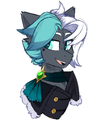 Size: 1311x1557 | Tagged: safe, artist:star-theft, oc, oc:snow draft, pony, bust, clothes, male, portrait, simple background, solo, stallion, transparent background