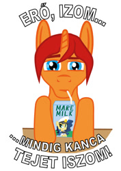 Size: 707x1000 | Tagged: safe, artist:alfa007, oc, oc:alfa, oc:milky way, pony, unicorn, male, solo, stallion, vector