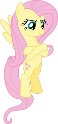Size: 1677x3577 | Tagged: safe, artist:emedina13, fluttershy, pegasus, pony, g4, .svg available, crossed arms, female, simple background, solo, transparent background, vector