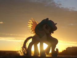 Size: 2048x1536 | Tagged: safe, artist:dingopatagonico, princess celestia, alicorn, pony, g4, irl, photo, solo, sunset, toy