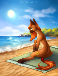 Size: 1280x1675 | Tagged: safe, artist:cried wolf, oc, oc only, oc:ambermane, earth pony, pony, beach, female, solo, sun, tail, tied tail