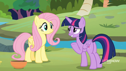 Size: 1920x1080 | Tagged: safe, screencap, fluttershy, twilight sparkle, alicorn, pegasus, pony, g4, memnagerie, my little pony: friendship is forever, 9now, bowl, butt, duo, duo female, female, folded wings, mare, outdoors, plot, river, sweet feather sanctuary, twibutt, twilight sparkle (alicorn), water, wings