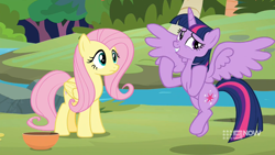 Size: 1920x1080 | Tagged: safe, screencap, fluttershy, twilight sparkle, alicorn, pegasus, pony, g4, memnagerie, my little pony: friendship is forever, 9now, bowl, duo, duo female, female, flying, folded wings, mare, outdoors, river, spread wings, sweet feather sanctuary, twilight sparkle (alicorn), water, wings
