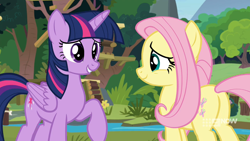 Size: 1920x1080 | Tagged: safe, screencap, fluttershy, twilight sparkle, alicorn, pegasus, pony, g4, memnagerie, my little pony: friendship is forever, 1080p, butt, cute, duo, duo female, female, flower, flutterbutt, folded wings, grin, gritted teeth, mare, outdoors, plot, raised hoof, river, shyabetes, smiling, sweet feather sanctuary, twilight sparkle (alicorn), water, wings