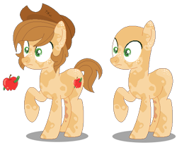 Size: 523x430 | Tagged: safe, artist:awoomarblesoda, oc, oc only, earth pony, pony, bald, base used, duo, earth pony oc, hat, male, offspring, parent:applejack, parent:caramel, parents:carajack, simple background, stallion, transparent background, wide eyes