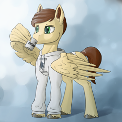 Size: 3000x3000 | Tagged: safe, artist:stardustspix, oc, oc only, oc:finicus, oc:second wind (eaw), pegasus, pony, equestria at war mod, abstract background, brown mane, brown tail, clothes, ear fluff, full body, green eyes, high res, hoodie, lidded eyes, looking to the left, male, mug, pegasus oc, solo, stallion, standing, tail, unshorn fetlocks, wing hands, wings