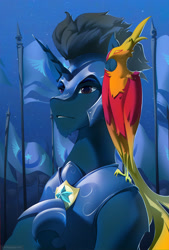 Size: 2200x3262 | Tagged: safe, artist:littlepolly, oc, oc only, oc:slashing prices, phoenix, pony, unicorn, armor, badge, bust, eyebrows, flag, flag pole, folded wings, helmet, high res, hoof shoes, horn, male, night, outdoors, portrait, royal guard, royal guard armor, solo, stallion, stars, tack, unicorn oc, wings