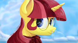Size: 3200x1760 | Tagged: safe, artist:aaronmk, oc, oc only, oc:lefty pony, pony, unicorn, bust, clothes, freckles, glasses, scarf, sky background, smiling, solo