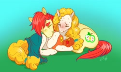 Size: 4096x2438 | Tagged: safe, artist:opalacorn, applejack, big macintosh, bright mac, pear butter, earth pony, pony, g4, alternate universe, baby, baby pony, blanket, blanket burrito, colt, cute, father and child, female, filly, foal, male, mother and child, newborn, siblings, sweat, tired, twins
