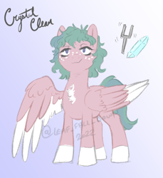 Size: 800x872 | Tagged: safe, oc, oc only, pegasus, pony, chest fluff, colored wings, female, mare, multicolored hair, multicolored wings, reference sheet, wings