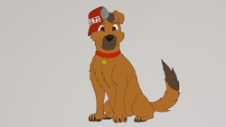 Size: 2560x1440 | Tagged: safe, oc, oc:joescoutk9, dog, collar, gray background, hat, simple background