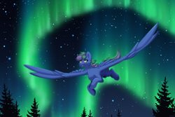 Size: 3000x2000 | Tagged: safe, artist:arsolem, oc, oc only, oc:lishka, pegasus, pony, amber eyes, aurora borealis, cheek fluff, chest fluff, ear fluff, eye clipping through hair, eyebrows, eyebrows visible through hair, eyelashes, female, flying, high res, mare, night, open mouth, open smile, pegasus oc, smiling, solo, spread wings, stars, tail, tree, two toned mane, two toned tail, wings