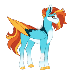 Size: 800x800 | Tagged: safe, artist:ewpluto, oc, oc only, pegasus, pony, bandage, colored hooves, colored wings, colored wingtips, female, magical lesbian spawn, mare, offspring, parent:rainbow dash, parent:spitfire, parents:spitdash, simple background, solo, transparent background, wings