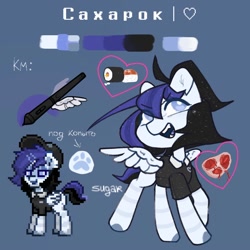 Size: 1000x1000 | Tagged: safe, artist:sugarpersonlove, oc, oc only, oc:sugar flash, pegasus, pony, reference sheet, solo