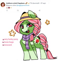 Size: 1000x1000 | Tagged: safe, artist:sugarpersonlove, oc, oc only, earth pony, pony, braid, braided tail, clothes, hat, scarf, solo, tail