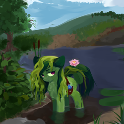 Size: 3000x3000 | Tagged: safe, artist:some_ponu, oc, oc only, original species, plant pony, flower, high res, plant, pond, solo, water, water plant pony