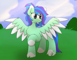 Size: 3212x2500 | Tagged: safe, artist:monycaalot, oc, oc only, oc:star breeze, pegasus, pony, art trade, cloud, cute, female, full body, grass, high res, pegasus oc, spread wings, wings