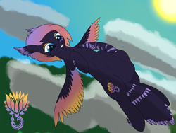 Size: 2048x1536 | Tagged: safe, artist:ezralas lunarautumn, oc, oc only, oc:blooming lotus, pegasus, pony, bellyrubs, flying, vore