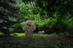 Size: 6852x4467 | Tagged: safe, artist:x-discord-x, edit, vector edit, angel bunny, fluttershy, pegasus, pony, rabbit, g4, absurd resolution, animal, caption, female, forest, image macro, irl, mare, photo, ponies in real life, solo, text, vector